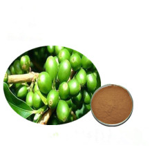 Natural green coffee bean extract 50% chlorogenic acid HPLC